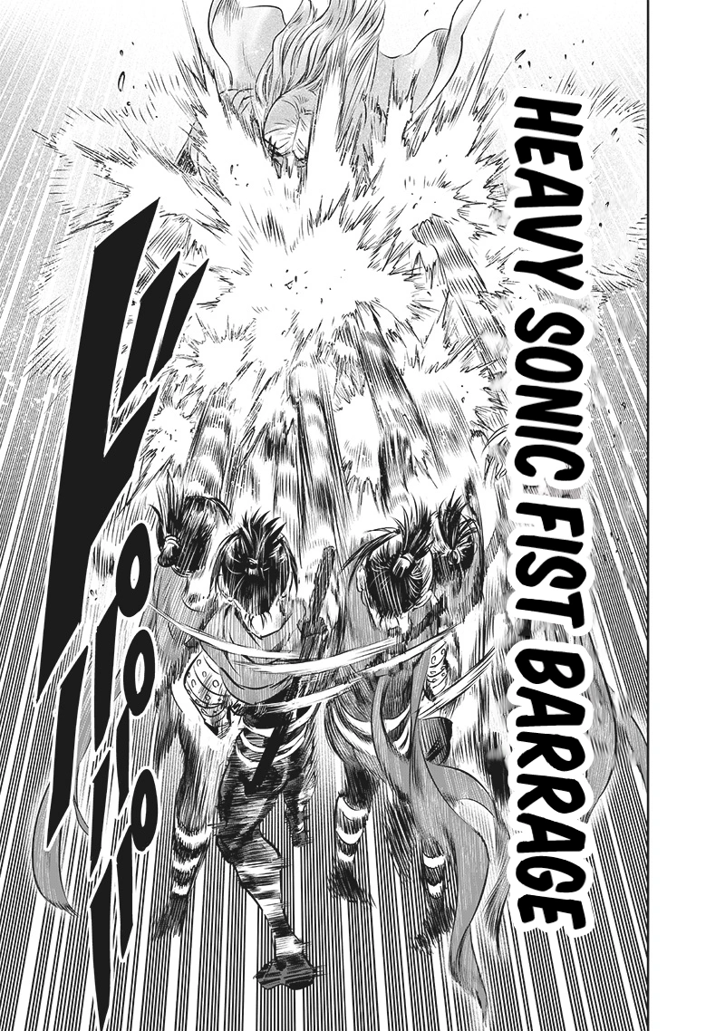 One Punch Man Manga Chapter 198 page 14 - The Way You Are Now scene