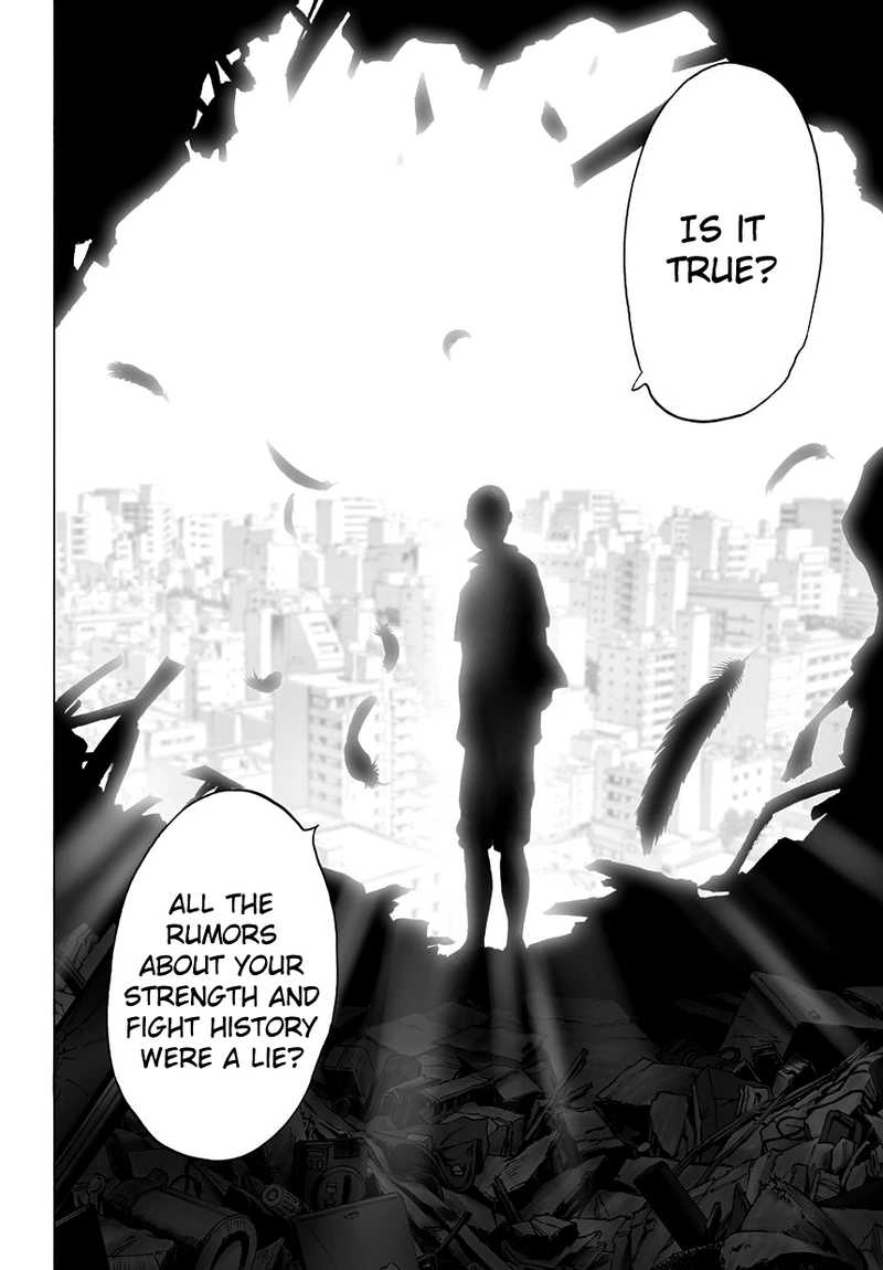 One Punch Man Manga Chapter 39 page 11 - That Person scene