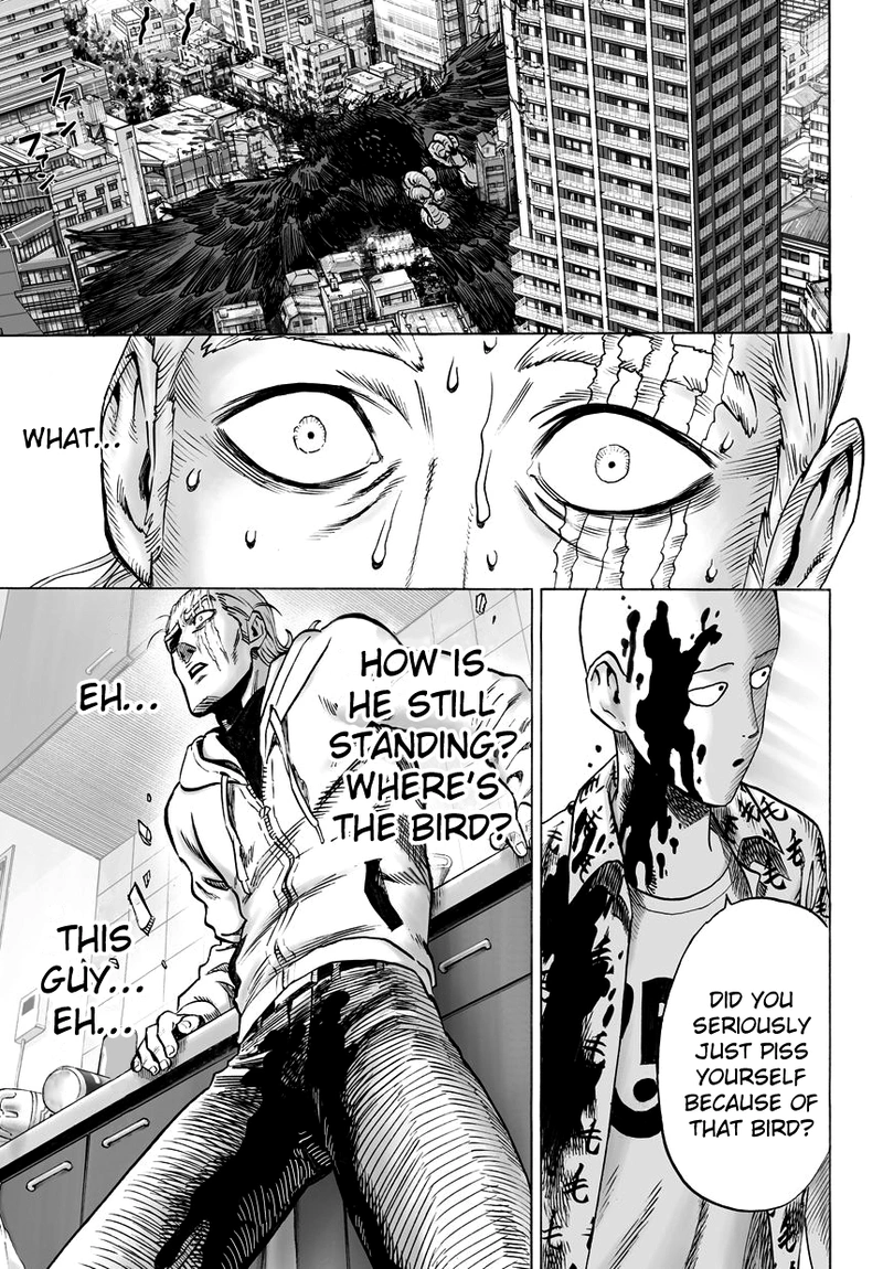 One Punch Man Manga Chapter 39 page 12 - That Person scene
