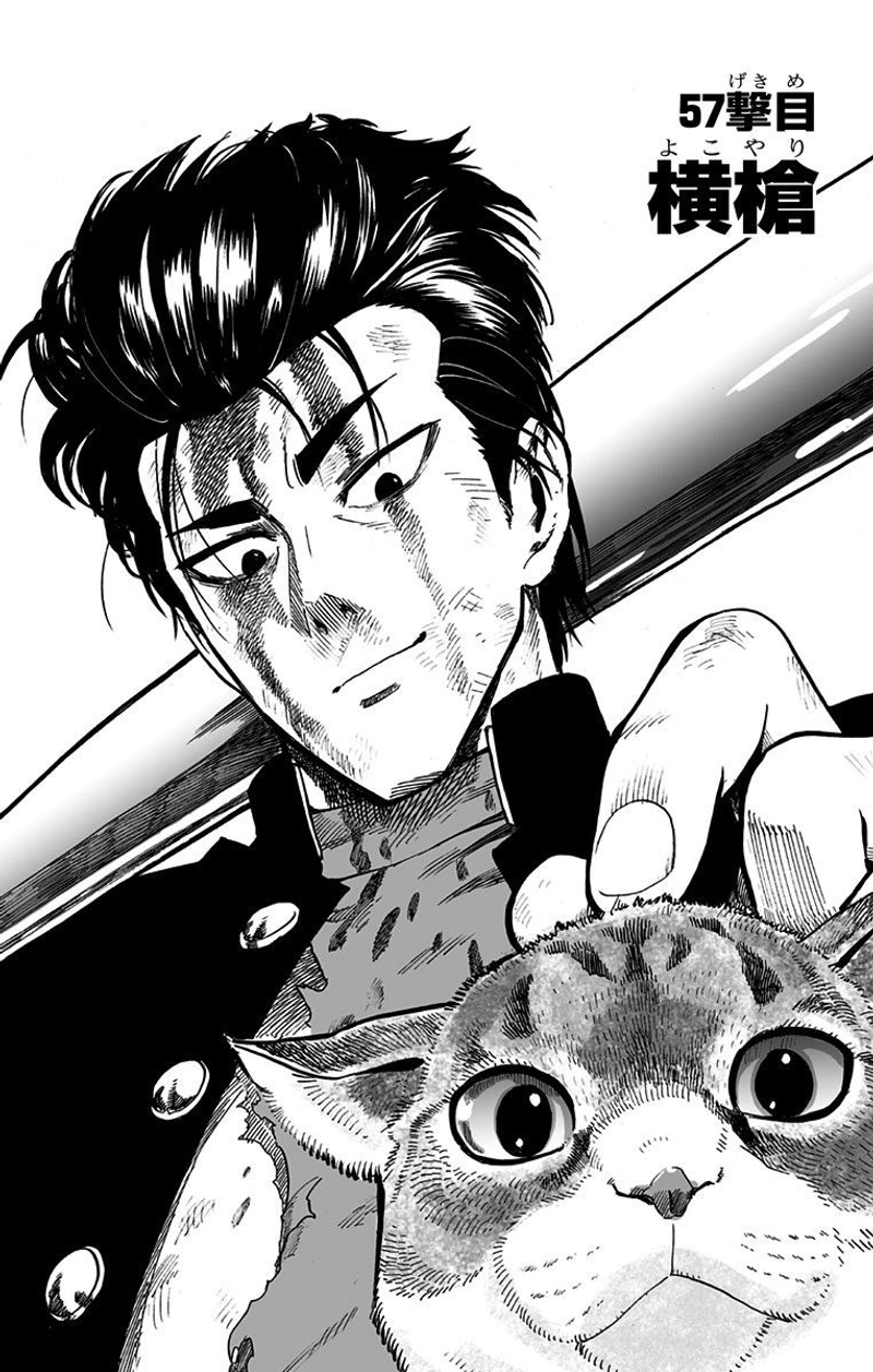 One Punch Man Manga Chapter 57 page 1 - Interruption scene